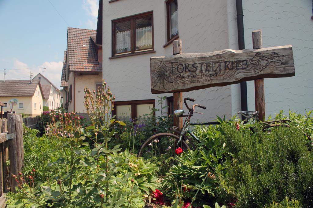 Haus Am Bergli Apartamento Herbolzheim Quarto foto