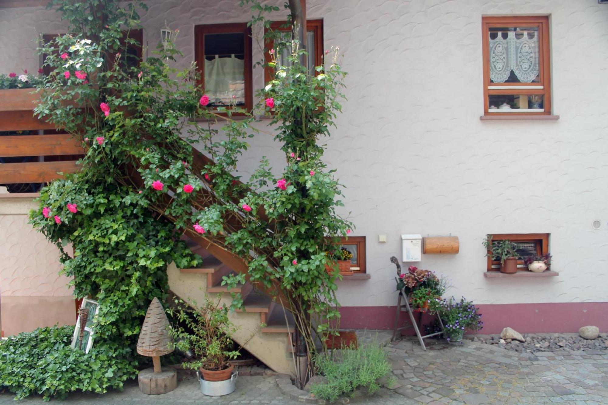 Haus Am Bergli Apartamento Herbolzheim Exterior foto